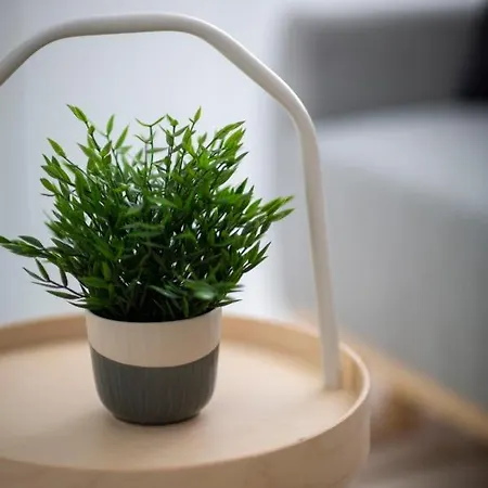 Unique 3 Floor With 4bdrm, 3bthrm * Budapest