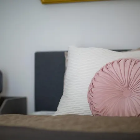 Unique 3 Floor With 4bdrm, 3bthrm Appartement
